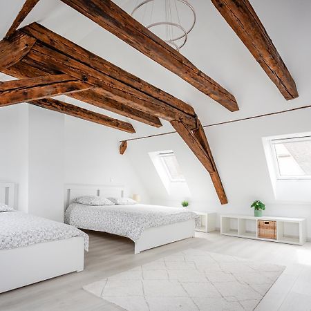 Le Grenier Du Photographe Apartment Kaysersberg-Vignoble Bagian luar foto